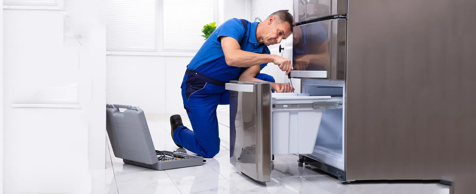 Refrigerator cleaning and service